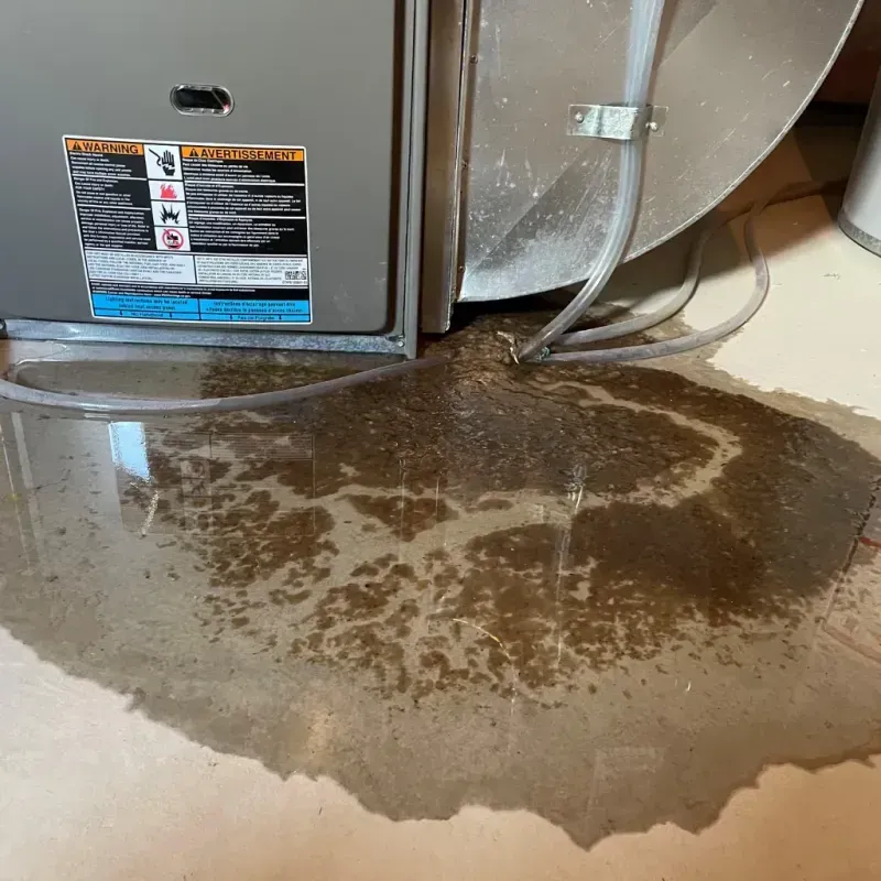 Appliance Leak Cleanup in Vermilion County, IL